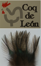 COQ DE LEON GALLOPARDO